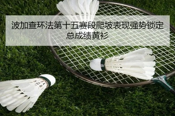 波加查环法第十五赛段爬坡表现强势锁定总成绩黄衫