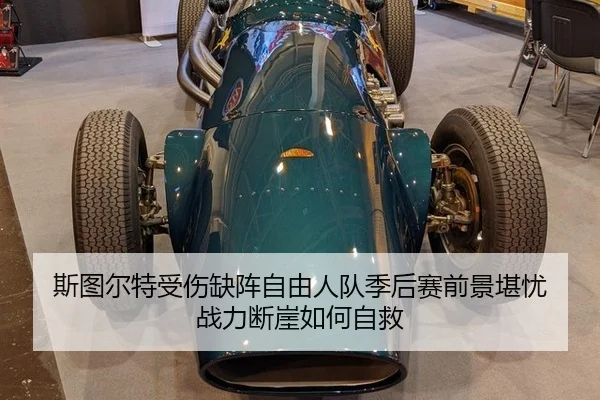 si-tu-er-te-shou-shang-que-zhen-zi-you-ren-dui-ji-hou-sai-qian-jing-kan-you-zhan-li-duan-ya-ru-he-zi-jiu-2-276.jpg