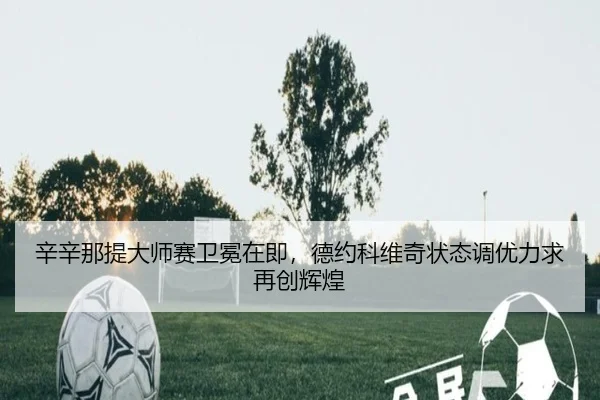 xin-xin-na-ti-da-shi-sai-wei-mian-zai-ji-de-yue-ke-wei-qi-zhuang-tai-diao-you-li-qiu-zai-chuang-hui-huang-2-285.jpg