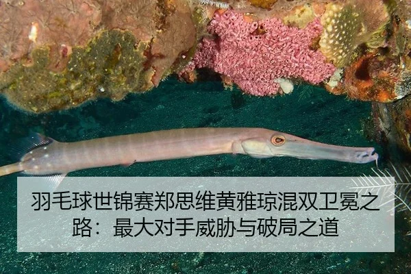 yu-mao-qiu-shi-jin-sai-zheng-si-wei-huang-ya-qiong-hun-shuang-wei-mian-zhi-lu-zui-da-dui-shou-wei-xie-yu-po-ju-zhi-dao-3-204.jpg