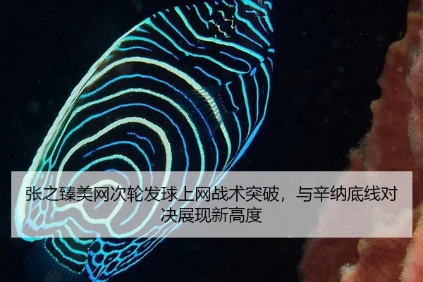 张之臻美网次轮发球上网战术突破，与辛纳底线对决展现新高度