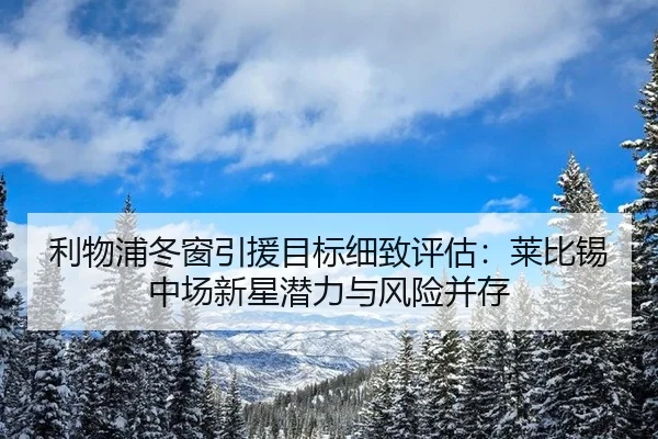利物浦冬窗引援目标细致评估：莱比锡中场新星潜力与风险并存