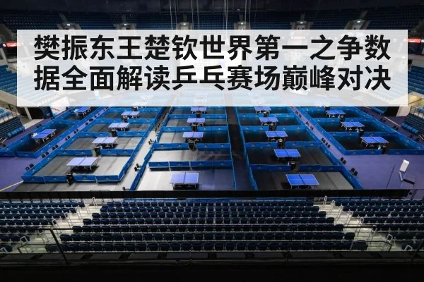 樊振东王楚钦世界第一之争数据全面解读乒乓赛场巅峰对决