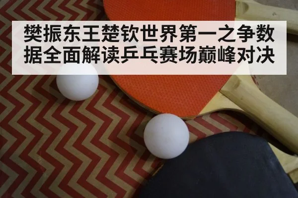 table tennis racket closeup